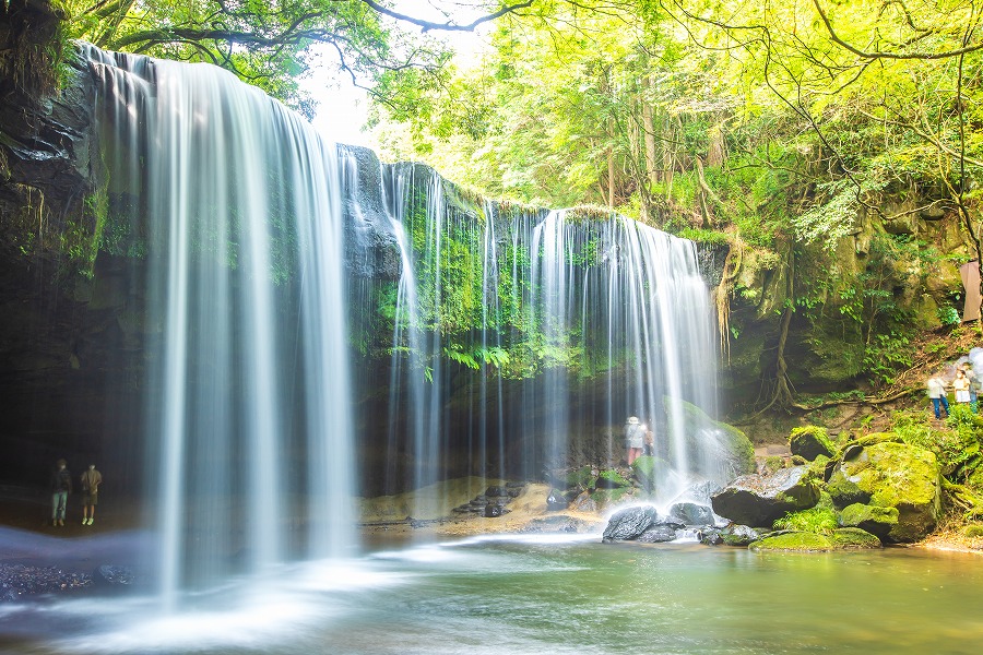 AdobeStock_533238022