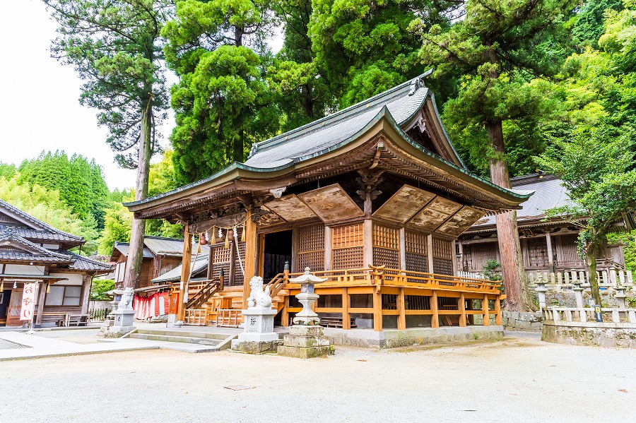 AdobeStock_559658364