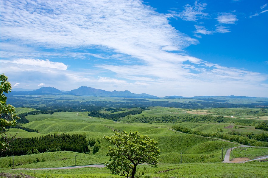 AdobeStock_86172805