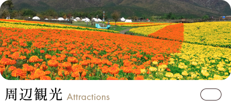 bnrhalf_attractions_off