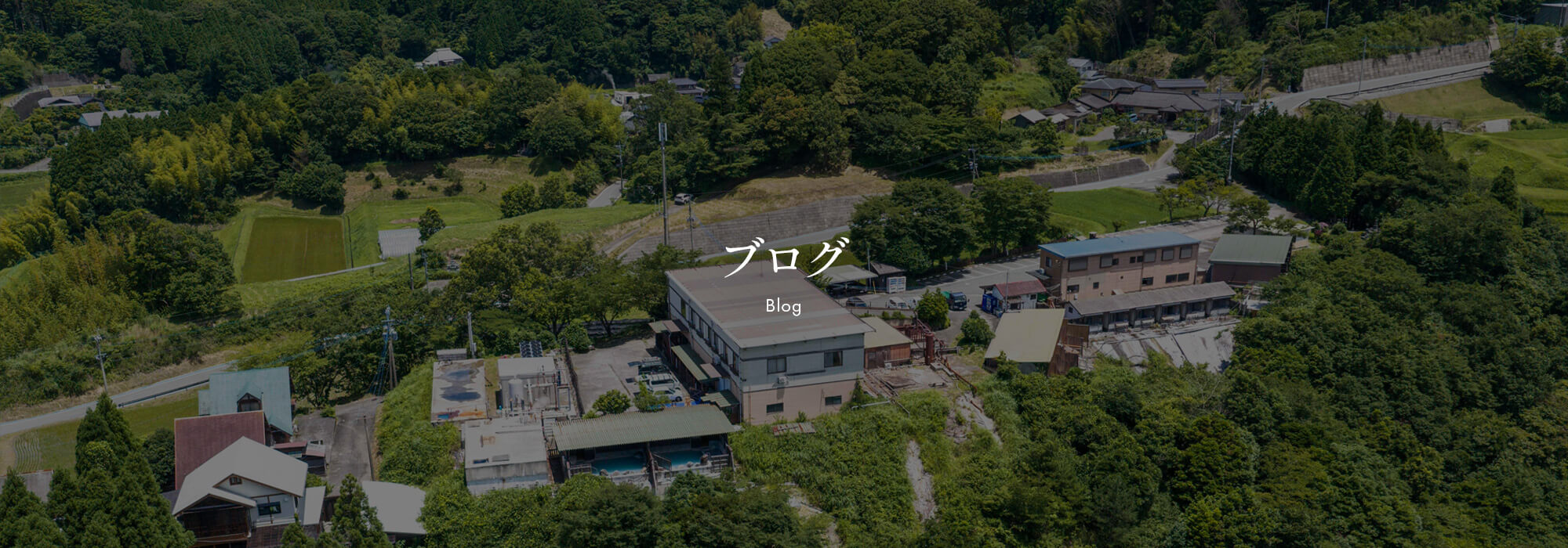 ブログ
